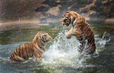 1639071047986.png