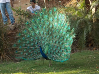 1642687254586.png 1642687254586.png