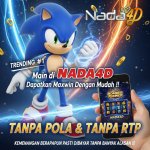 NADA4D SONIC 36.jpg