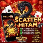 BLACK SCATTER 2.jpeg