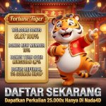 FORTUNE TIGER (8).jpeg FORTUNE TIGER (8).jpeg