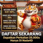 FORTUNE TIGER (2).jpeg