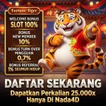 FORTUNE TIGER (4).jpeg