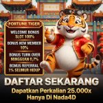 FORTUNE TIGER (5).jpeg